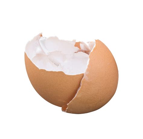 Grilled Egg Shell Dangerous at Jose Caceres blog