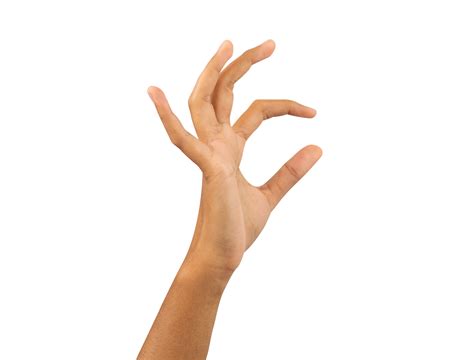 Hand Holding Something