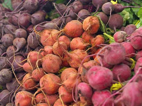 The Best Types of Beets for Every Occasion