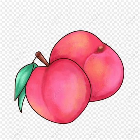 Two Peaches Clipart,pink,plant,leaf PNG White Transparent And Clipart ...