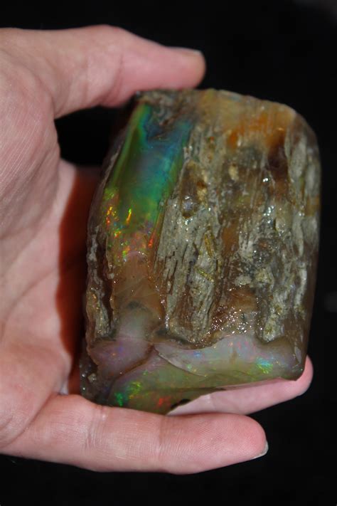Large Precious Opal limbcast fossil after Petrified Wood from Virgin ...