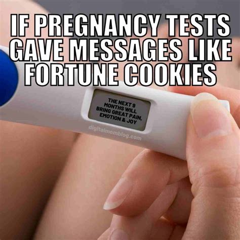 50 Hilarious Pregnancy Memes Any Mom-To-Be Needs To See