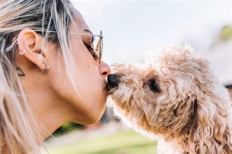 Why Does My Dog Lick My Face Aggressively: Understanding Canine Behavior