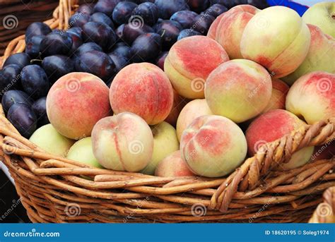 Peach And Plum Crop In A Basket Royalty-Free Stock Photography ...