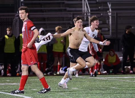 Raynham Fire Dept. helps 18-year-old horse, George, back to his feet