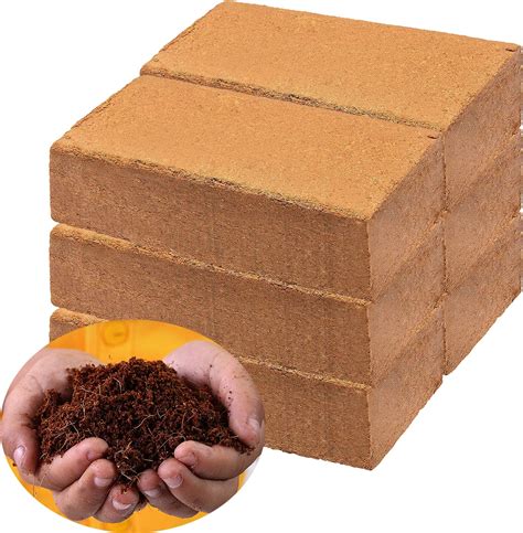Amazon.com : Coco Coir (650 Grams, 5+1 Bricks) - Compressed Coco Coir ...