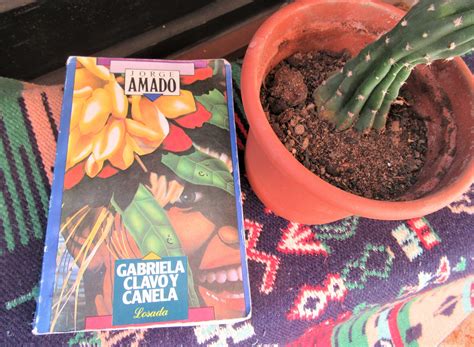 MUST-READ SOUTH AMERICAN NOVELS - Bohemianhag.com