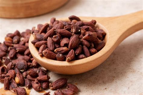 Portale Provider Clover Health: Guida Pratica per Medici