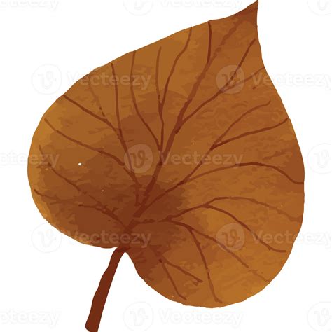 Autumn Leaves Clip art Element Transparent Background 24399398 PNG