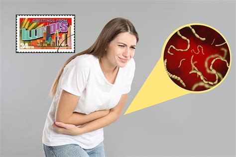 Is It Legal To Collect Rainwater In Illinois