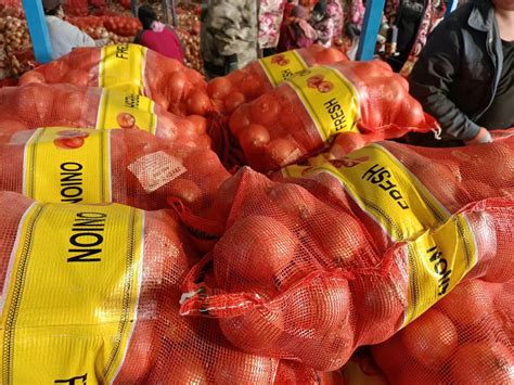 Fresh Red Onion - Buy Granulated Onion,Holland Onions,Dubai Onion Price ...