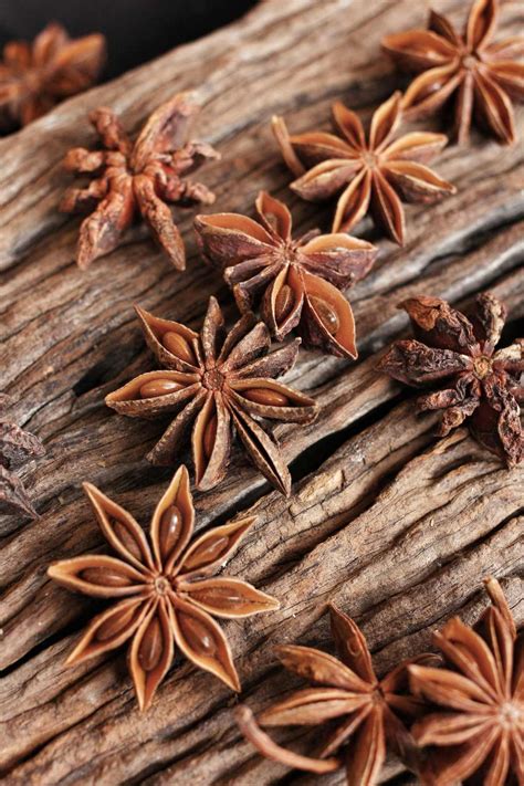 Chinese Five Spice Powder Substitutes (5 Spice) » Joyful Dumplings