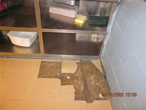 Deteriorating conditions seen inside Rikers Island, NYC jails - New ...