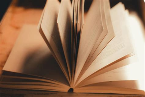 The Hatchet Reading Level And Age Range: Is It Fit For Kids?