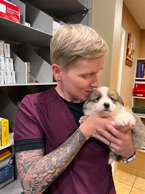 Veterinarian in Andrews, NC | Andrews Veterinary Hospital