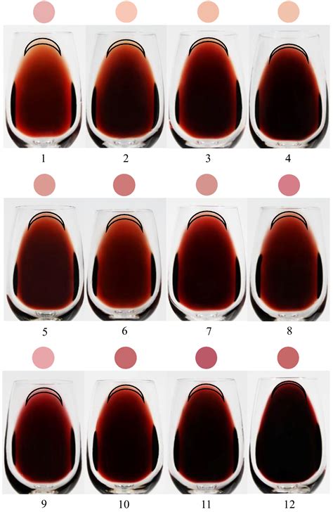 Red Wine Color Chart at Amparo Batt blog