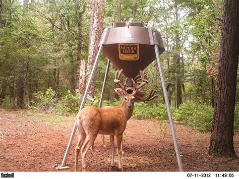 Louisiana Deer Feeding Chart at April Hyde blog