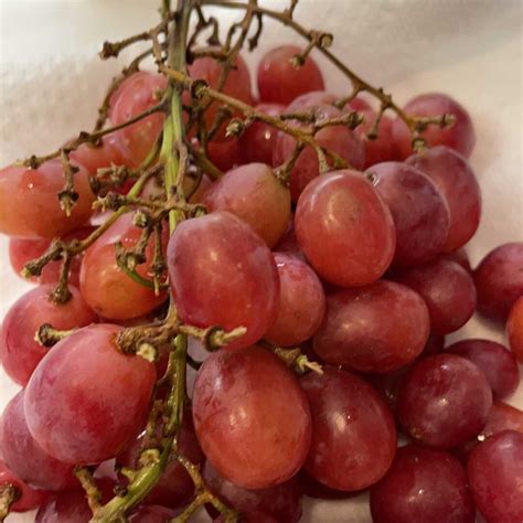 Calories in 1 cup, seedless Grapes (Red or Green, European Type ...