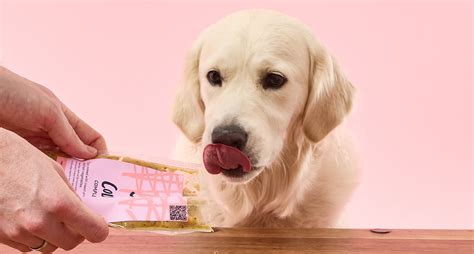 Can Dogs Eat Tuna? Safety, Risks & Vet-Reviewed Guidance | Tuggs