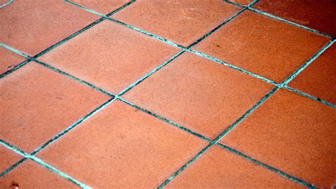 32+ Mexican Floor Tiles For Sale Gif