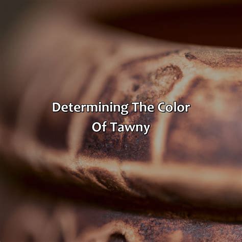 What Color Is Tawny - colorscombo.com