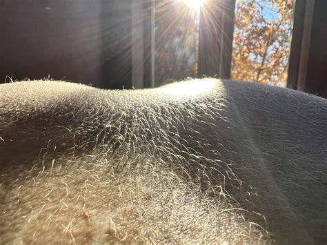 The fuzziest spot on my whole body 😛 : r/peachfuzz