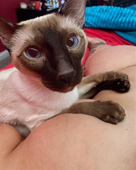 Talli Osborne | Happy Caturday!! 😽 The weather here in Vegas is pretty gnarly today, insanely ...