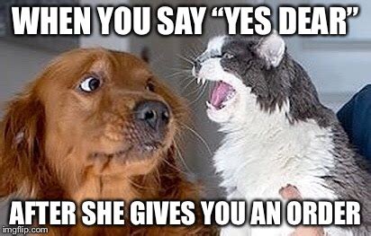 Do Not Try This at Home - Imgflip