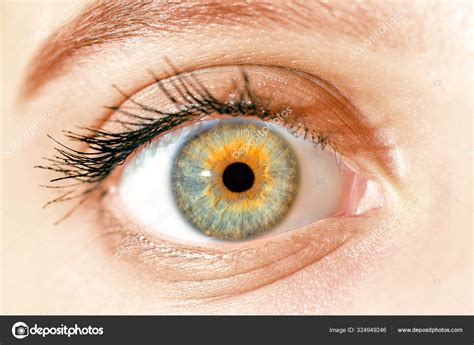 Yellow Green Blue Eyes