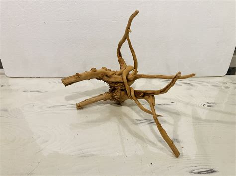 Madera Spider Gold n10 - Botánicos - DiscusArt