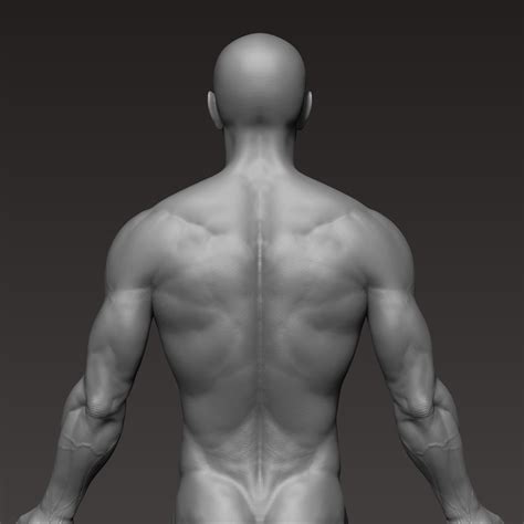 Anatomy visual body 3d model - bxeagain