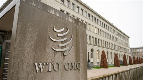 Trump admin tariffs on China are illegal, world trade body says | KTLA