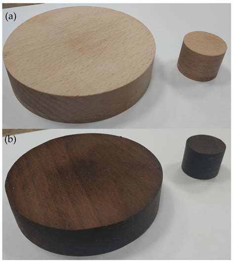 Sound Wave Absorption Coefficient and Sound Velocity in Thermally ...