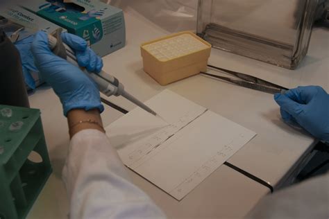 Test d'Ames : l'étalon-or du dépistage de la mutagénicité - GenEvolutioN