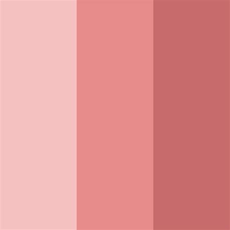 Blushing Rosewood Color Palette - ColorDrop
