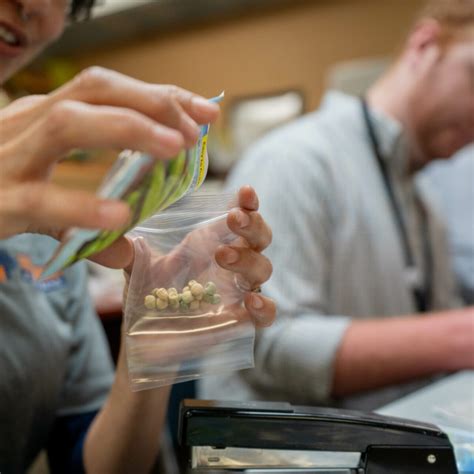 Provo Community Action Services and Food Bank, Miss Provo serve ...