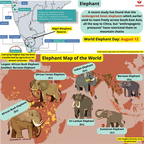 Understanding Kerala’s man-elephant conflict - INSIGHTS IAS - Simplifying UPSC IAS Exam Preparation