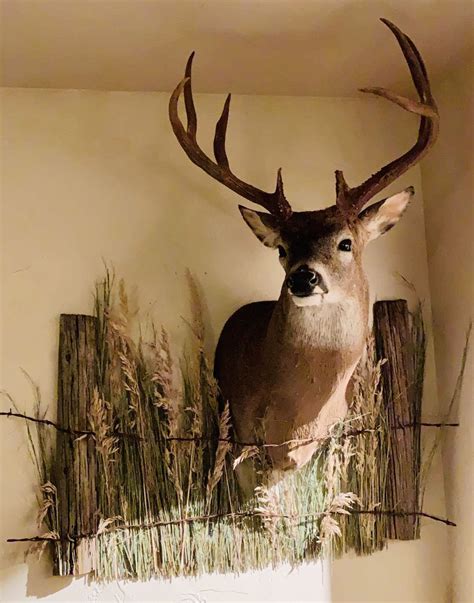 Deer Mount Wall Fixture