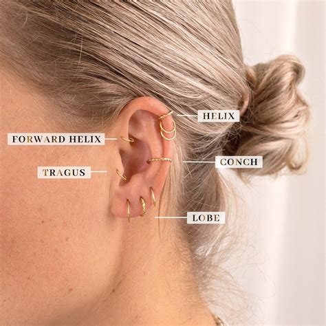 Piercing | Ear piercings, Piercings, Cool ear piercings