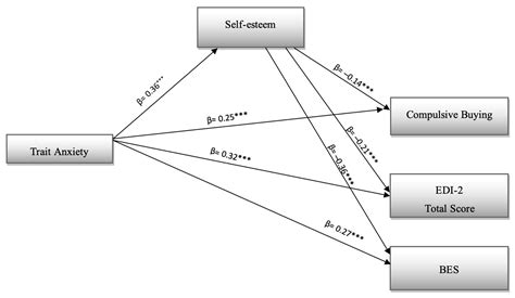 The Roles of Anxiety and Self-Esteem in the Risk of Eating Disorders and Compulsive Buying Behavior