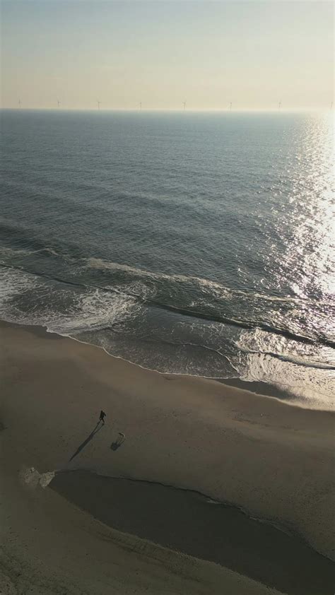 Dog+Knot+Teen Videos, Download The BEST Free 4k Stock Video Footage ...