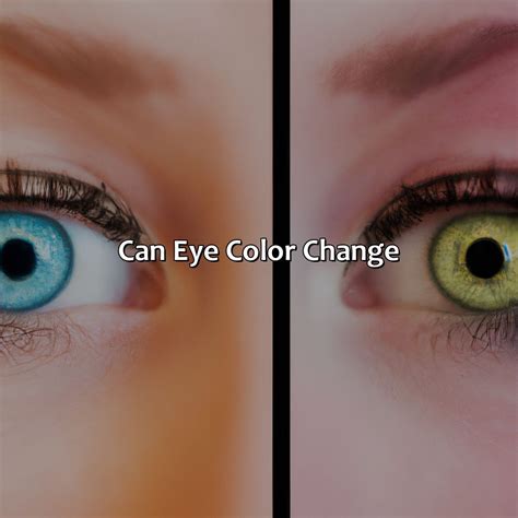 What Is My Eye Color - colorscombo.com