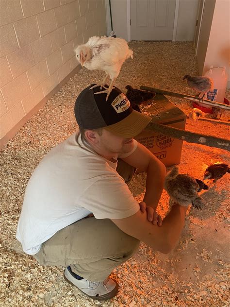 Has anyone else converted a whole room to a temp chicken coup for their ...