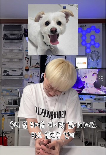 타오바오 강아지 인형 사기당함
