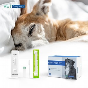 [Hot Item] One Step Test Canine Parvovirus Antigen Test