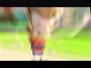 Dora the Explorer: Dora's Backpack Adventure (2002 VHS) : Paramount Home Video : Free Download, Borrow, and Streaming : Internet Archive