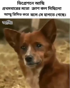 45 reactions | 藍藍藍藍藍 | ONI GIRLS SHOP | Facebook