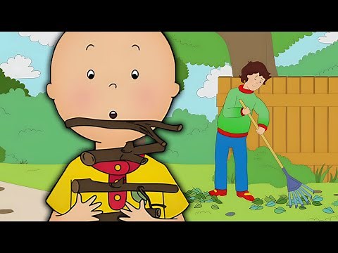 Caillou Helps Daddy | Caillou Cartoon