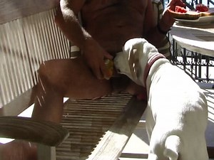 Dog licks his Master's dick and gets horny