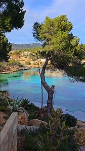 Cala Fornells ein Must See ☀️ Mallorca #mallorca #travel #beach